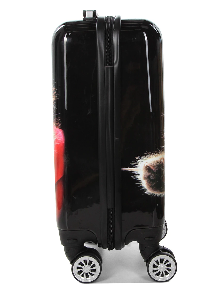 Ensemble 4 Valises Madisson Chaton - Léger, Résistant, Haut de Gamme – Image 6